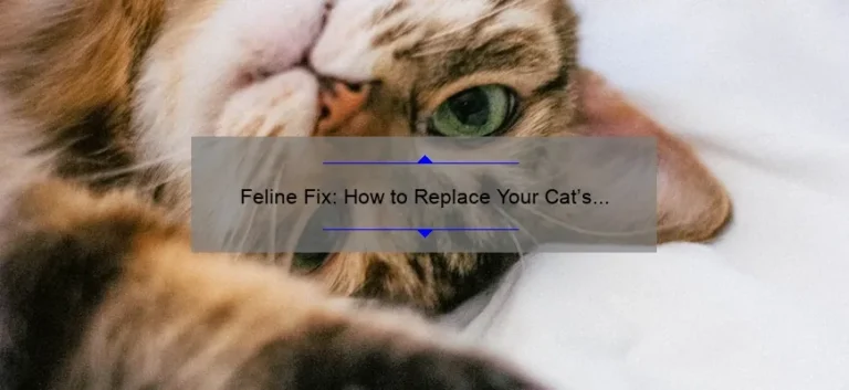 Feline Fix: How to Replace Your Cat’s Jump Starter Battery Feline Fix: How to Replace Your Cat’s Jump Starter Battery