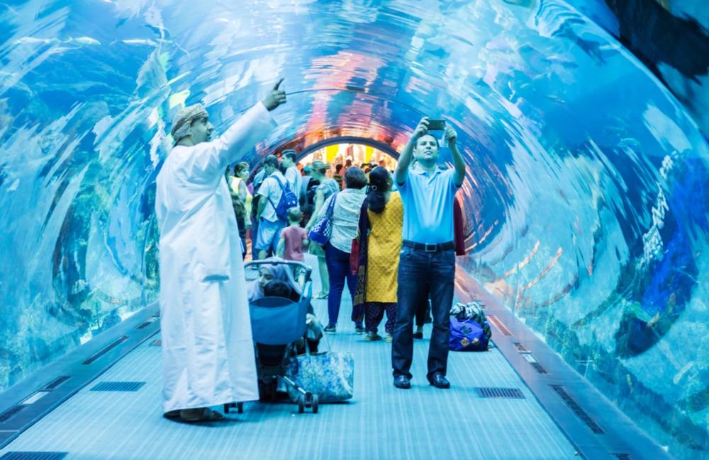 An Underwater Zoo ©Gervasio S. _ Eureka_89/Shutterstock.com