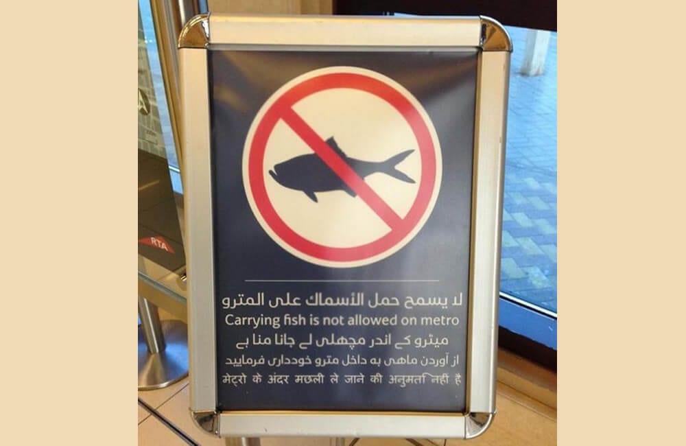 Strict No Fish Policies @russelldavies / Pinterest.com