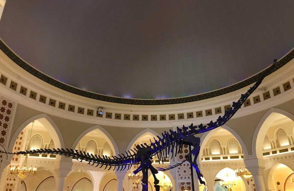 The Dubai Dino @almaallzadjali/Pinterest