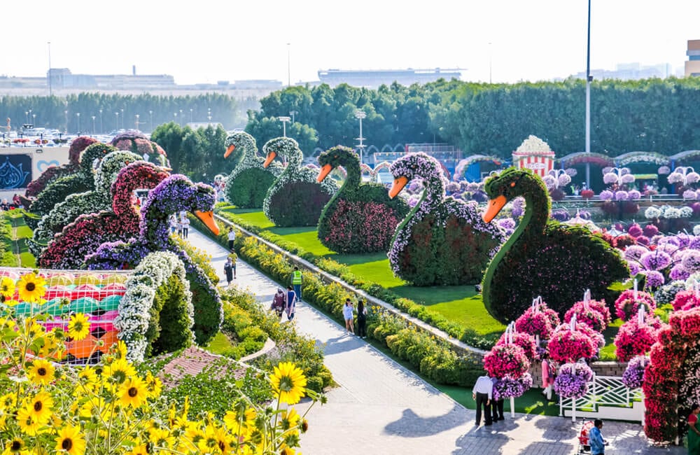 The Dubai Miracle Garden ©Abrar Sharif / Shutterstock.com
